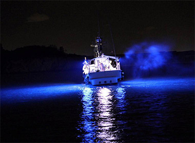 什么样的LED水面集鱼灯能增加捕获量？